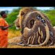 INCREDIBLE Rescue: Lion SAVED from Angry Bee Swarm! | Animal Rescue @anujgautam25