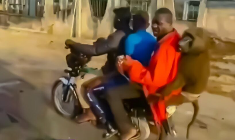 Idiots, Fails, and Near-Death Madness Compilation