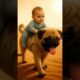 Incredible dog rescues baby who fell off the train #trending #ytshorts #viral