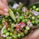 Indian Street Food in Varanasi - Fried Mutter (Green Peas in a Leaf Bowl!)
