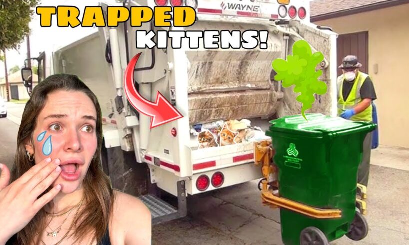 KITTENS TRAPPED ON DUMP TRUCK! WE RESCUED THEM!