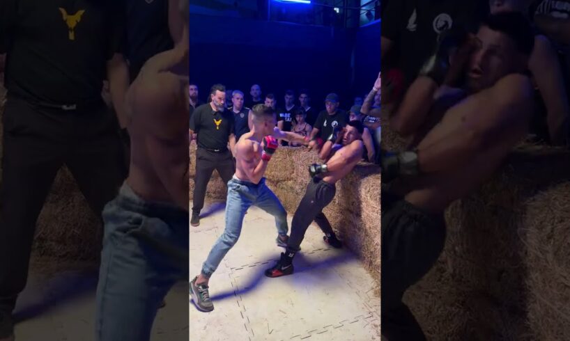 Knockouts extremo en guantes de MMA 🥊🔥 Boxeo como nunca lo viste! Combates intensos y acción total