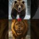 Lion vs Wild Beasts – Who Wins? 🦁🔥 Ultimate Animal Battles Compilation! #shortvideo #whowillwin