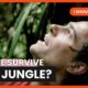 Lost In Mayan Jungle For Days and More! | I Shouldn't Be Alive | Documentary