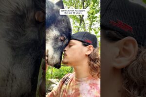 Man and his wolf best friends
