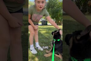 Mom surprised daughters with a german shepherd puppy 😍