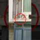 Mom's instincts as mother cat saves her kittens