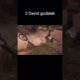Mtb crashes that silenced the world