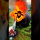 OMG😱😱  Villagers Save Burnt Cow with Love! 🐄❤️ 😭😭 #cow #cowlover #animals #animallover