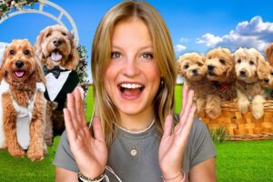 Our Dog got Married and had PUPPIES! THE MOVIE *Emotional*