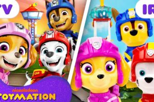 PAW Patrol Toys Vehicle Missions, Animal Rescues, & MORE! 🐶 | 20 Minute Compilation | Toymation