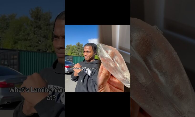 POV: The boxer gets in a street fight
