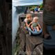 Parents ignored the dog's warning, put the baby in danger, but the dog saved him #dog #rescue #baby