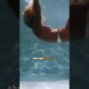 People Claim To See This During Near-Death Experiences #NDE #Death #Entities
