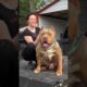 Pitbull Dog power Full DOG STATUS video #pitbull #facts #americanbully #dog #facts #shorts #ytshorts