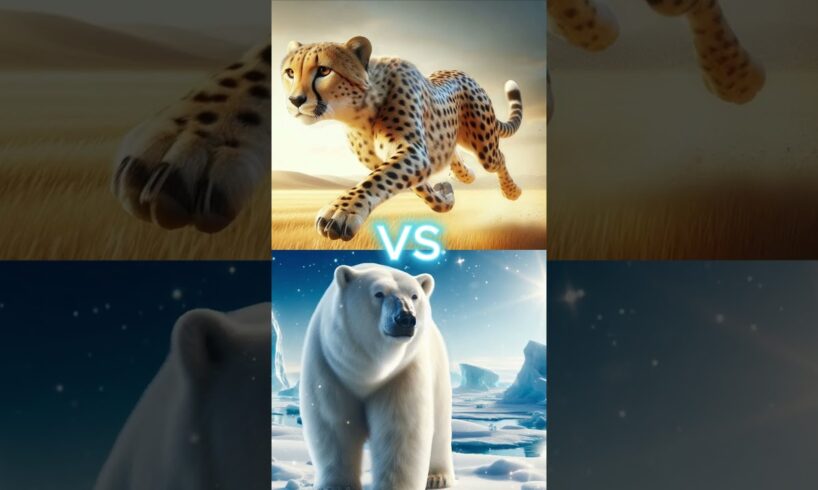 Polar Bear VS Owl Animal Battles!  #animals #guineapig #battle #lion #pet #fight #tiger #rodent