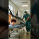 Poor Puppy Saves Pregnant Shark – Heartwarming and Funny Animal Rescue Story #puppy #shark #animals