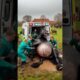 Pregnant horse need help doctor's rescue horse 🐴🙏 #humanity #horse #animals