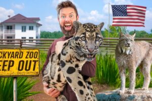Private Tour of America's Best Exotic Animal Rescue