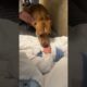 Puppy Reacts To Meeting Baby For First Time