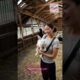 Rabbits play in Warm Farm Moments #rabbit #animals #funny #shorts #shortsfeed