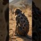 Rescue Team Saves Monkeys from Millions of Bot Fly Larvae and Ticks in the Desert 🙏 #bar  #monkeys