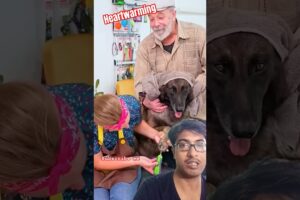 Rescued The Dog and Returned to His Glory❤️🙏 #rescue#thedog#dogshorts#kindness#heartwarming#shorts