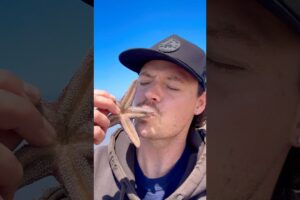 Rescuing Real Life Patrick Star! #animals #shorts