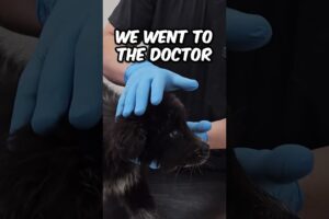 She Was Frozen in Fear… Until Now! 😱