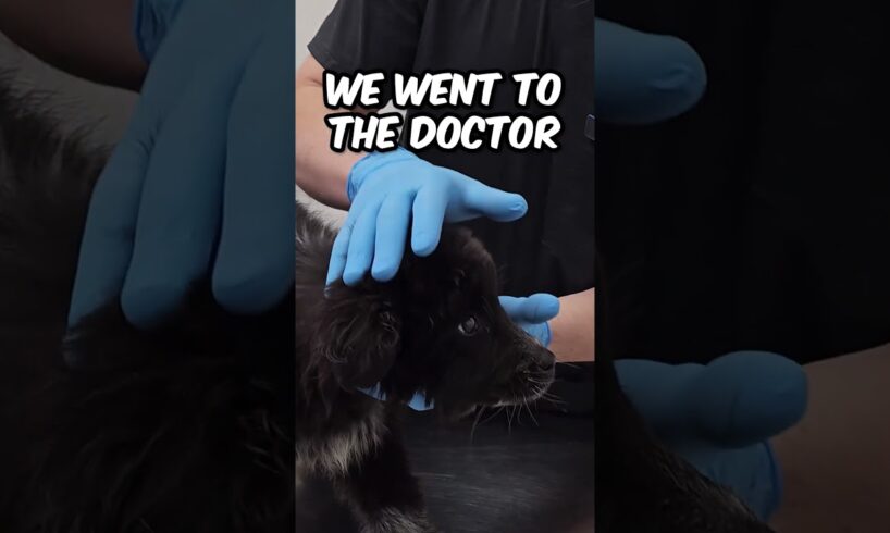 She Was Frozen in Fear… Until Now! 😱