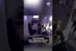 Shocking Moment Car Crashes Into Home Where Couple Were Relaxing With Their 4 Dogs