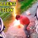 Shylily Reacts To Best Fails of the Week | Mistakes Gone Wrong by FailArmy