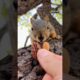 Squirrel Fishing with Baby Cee #animals #games #cute #first #time #play #reels #feed #sports #fyp #1