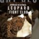 Stories of Africa: Leopard Fight Club