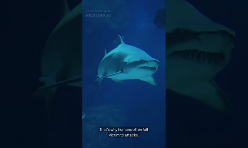 Surviving the Deep: True Stories of Deadly Shark Encounters