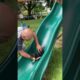 Sweet Pinscher Puppy Loves Going Down Playground Slide!