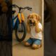 The 20 Cutest Puppy Videos Ever