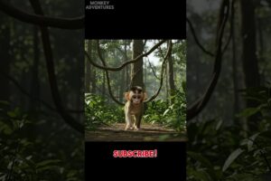 The Cute Turtle Saves the Monkey! 🐢🐢#animalrescue #cutanimals #cute #monkey #monkeyrescue #story #ai