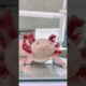 The axolotl brought home was very angry#animals #axolotl #rescue #cute #shorts