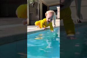 The dog saved a child. #rescue #baby #rescueefforts