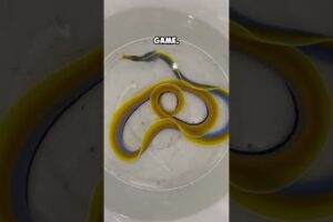 This Fish was Featured in a Game 🎮