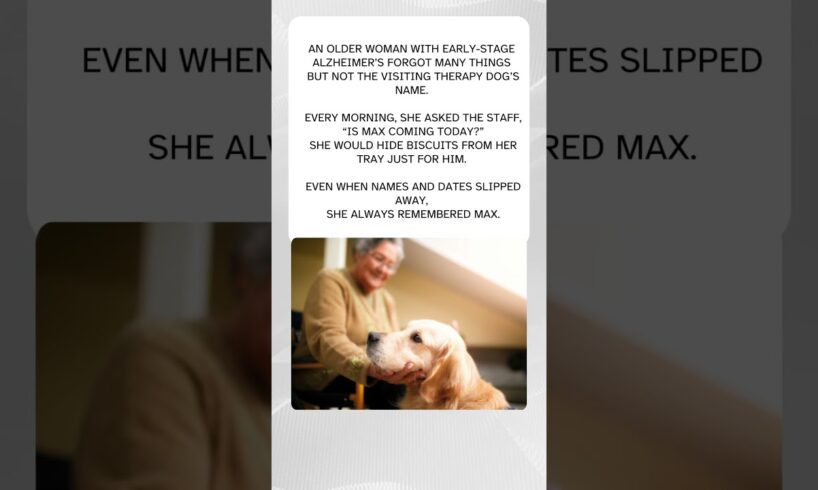 This Therapy Dog Visits Her Every Day 🐶❤️  #wholesome #animalrescue #animals #dog #goldenretriever
