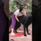 This dog is creating the new generation 284
