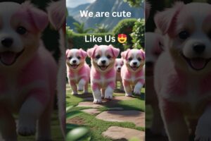 Tiny Paws, Big Fun! 🐾 Miniature Puppies Playing in a Magical Garden 🌸 | #Shorts #CutePets #viral