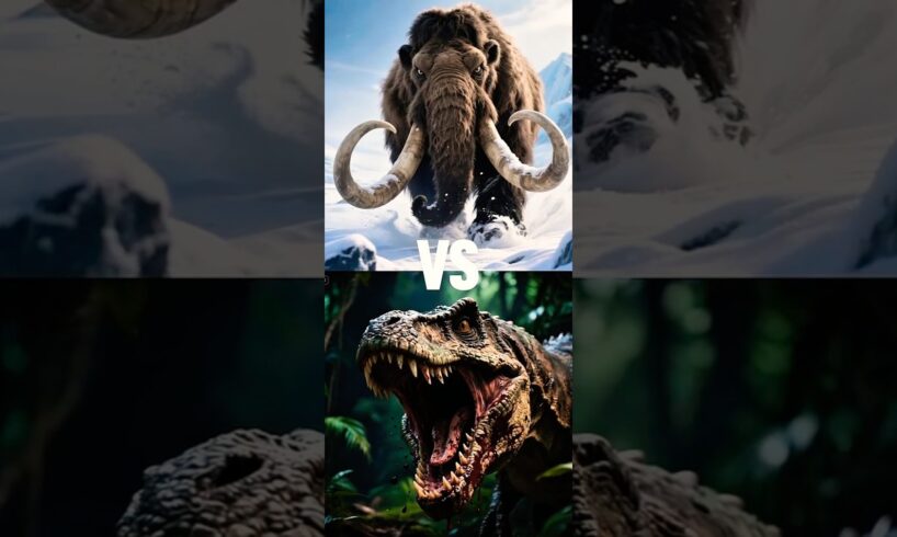 Top 10 Deadliest Animal Fights #1  🦣 vs 🦖 ?