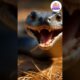 #Top 10 #feed #shortsfeed #feedshorts #feeding #trendingshorts #shots #snake