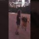 Top 5 Best Fails of the Week