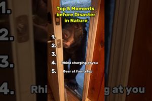 Top 5 Moments before Disaster in Nature
