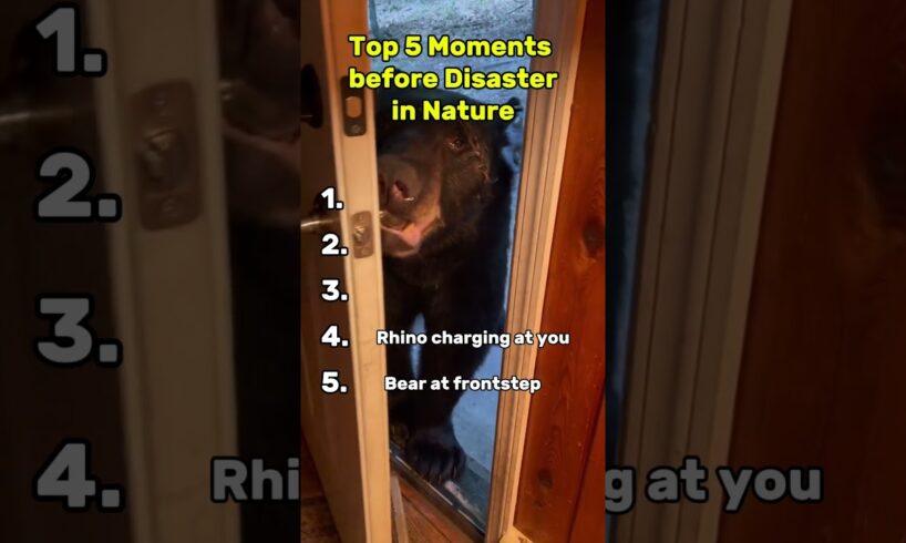 Top 5 Moments before Disaster in Nature