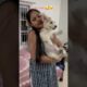 True Love 🥰🥺🫶🏻 #shorts #youtubeshorts #pomeranian #dog #cute #maa #trending #viralshorts